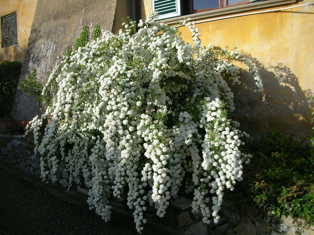 Locanda Giolica Prato  Dış mekan fotoğraf